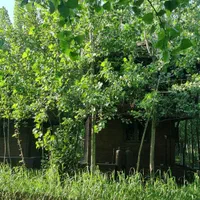 خانه ای نقلی دررلابه لای جزیره|فروش زمین و ملک کلنگی|تهران, آسمان|دیوار