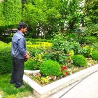 گل کاری باغبانی درخت کاری سمپاش، گلکاری، درخت کار)