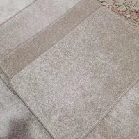 پادری نو نو|پادری|اهواز, کوی مهدیس|دیوار