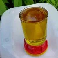 روغن زیتون|حراج|لوشان, |دیوار