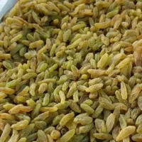 کشمش سبزکاشمر