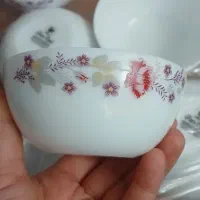 6 عدد ماست خوری