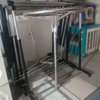 چند عدد رگال فروشی