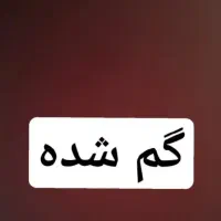 شناسنامه گم شده مجتبی تامرادی