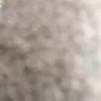 موکت مناسب اتاق پذیرایی
