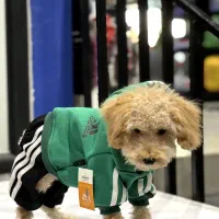 کار در دفتر فروش آنلاین پت شاپ پاسداران