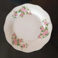 ظروف چینی
