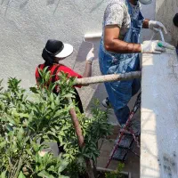 مجری تخصصی میکروسمنت وپتینه مدرن وکلاسیک آمل