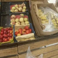 استخدام کارگر میوه فروشی