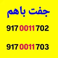 جفت باهم بفروش می‌رسد