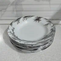 ظروف پذیرایی