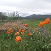 ۳۵۰متر زمین ویلایی درروستا دامنه سیلان