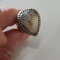 شجر بریزیلی سوزنی|جواهرات|ملایر, |دیوار