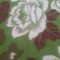 یه مرغ پیدا کردم