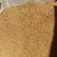 کودگوسفندی|خدمات باغبانی و درختکاری|اراک, |دیوار