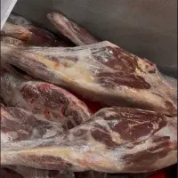 گوشت تنظیم بازار(بازارچه غدیر)