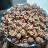 اجاره گردو و بادام تکاندن گردو|خدمات باغبانی و درختکاری|اصفهان, تیران|دیوار