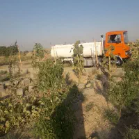 فروش باغچه نقلی