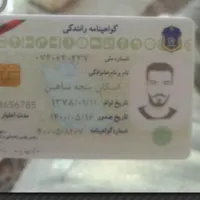 گمشده گواهینامه  اشکان پنجه شاهین