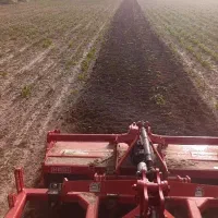 خدمات کشاورزی|خدمات باغبانی و درختکاری|میاندوآب, |دیوار