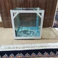 آکواریوم 40در40در40
