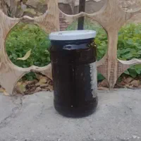 رب لوشی
