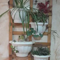 پایه چوب با گلدان ها