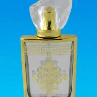 راهنمایی میکنم