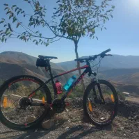 دوچرخه جاینت تالون