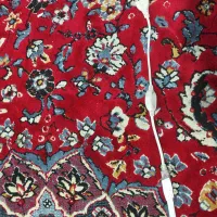 ریسه شلنگی|ریسه و چراغ تزئینی|شیراز, شهرک بهار|دیوار