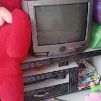 تلوزیون