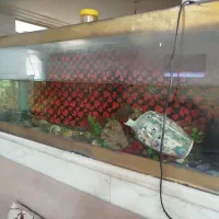 شیشه اکواریوم بزرگ