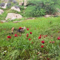 زمین-کشاورزی