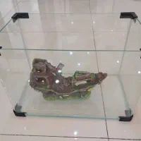 آکواریم شرکتی شیشه خم با تمامی تجهیزات