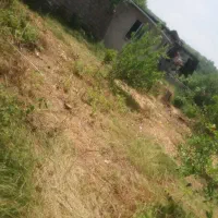 280مترزمین-مسکونی-درقائمشهرروستای-جنگلی-وسطی-کلا