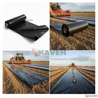 // مالچ/ / درختی باغداری