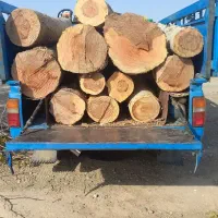 برش و هرس درخت های خشک و فرسوده  خریدار چوب|خدمات باغبانی و درختکاری|تهران, خاوران|دیوار