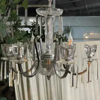 لوستر المانی