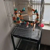 قفس کاسکویی صفر