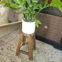 استند گل مدل چهار پایه روسی