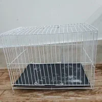 قفس و مرغ عشق|پرنده|قم, شاه سید علی|دیوار