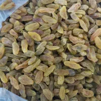 پسته.کشمش|خوردنی و آشامیدنی|پاکدشت, پاکدشت (مامازند)|دیوار