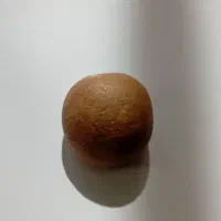 چند سنگ اسیابی نادر با جزب آهن روبا|کلکسیون اشیاء عتیقه|گلبهار, شهر جدید گلبهار|دیوار