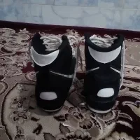 کفش بوکس|کیف، کفش، کمربند|باخزر, |دیوار