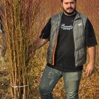 نهال هلو میوه شیرین تابستان  پربار و اقتصادی