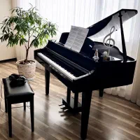 آموزش پیانو مقدماتی تا پیشرفته ( مدرس خانم )