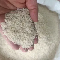 برنج هاشمی اعلا فوق سورتینگ شده