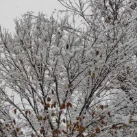 آپارتمان-اجاره-110مترمنهای-60حیاط-دار-علامه-امینی