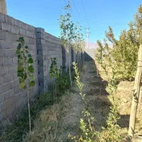 باغ نعمت الله|فروش خانه و ویلا|صوفیان, |دیوار