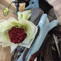 گل ربانی|گل مصنوعی|شیراز, اصلاحنژاد|دیوار